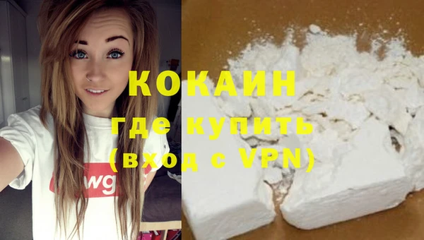 тгк Бородино