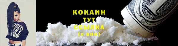 тгк Бородино