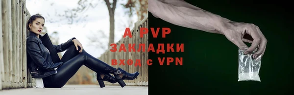 тгк Бородино