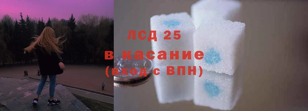 тгк Бородино