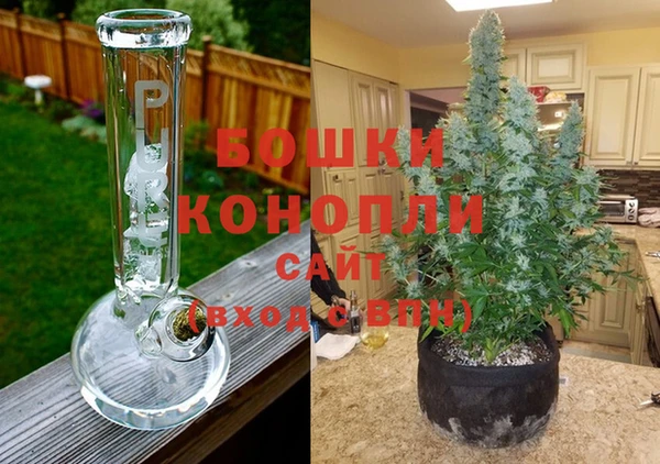 тгк Бородино