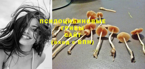 тгк Бородино