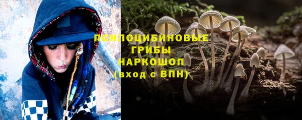 тгк Бородино