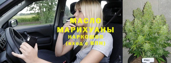 тгк Бородино