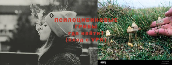 тгк Бородино